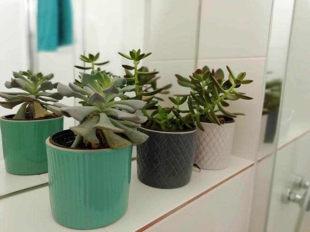 Suite Da Joaninha Caminha Kültér fotó